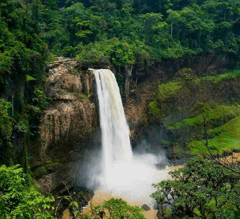 Cameroon